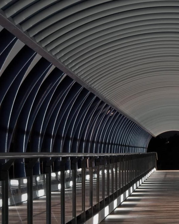 alnooequity Reglas de Organizacion